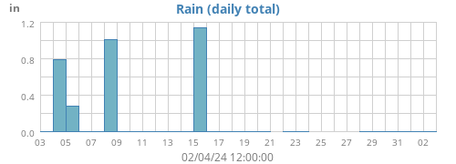 Rain